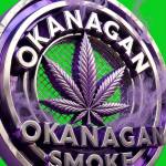True Living Organic  No-Til Profile Picture